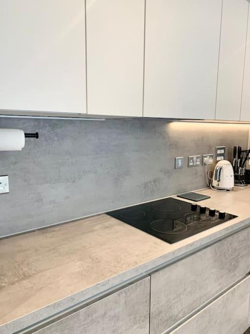 A Stylish Two Bedroom Modern Apartment With Parking バーキング エクステリア 写真